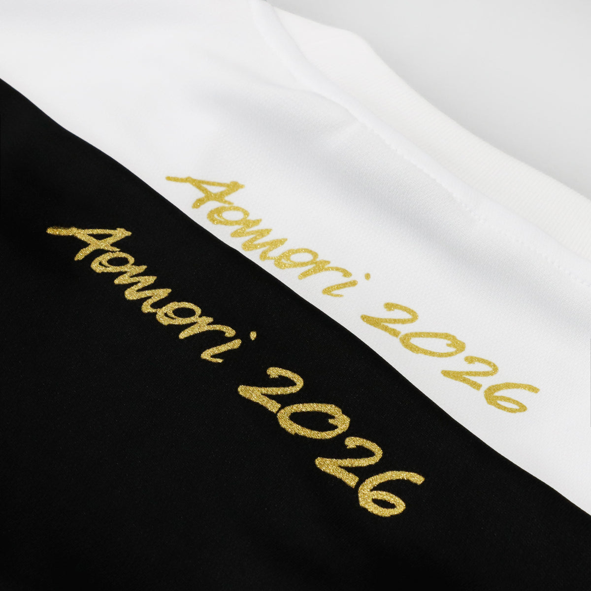 [国スポ 青森大会記念 2026 受注予約商品] インザペイント JAPAN GAMES AOMORI 2026 ITPカーシブロゴ Tシャツ  KT2608